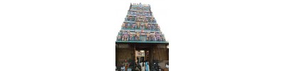 திட்டக்குடி